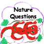 Nature Questions